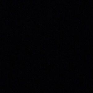 Meet your Posher, Carly